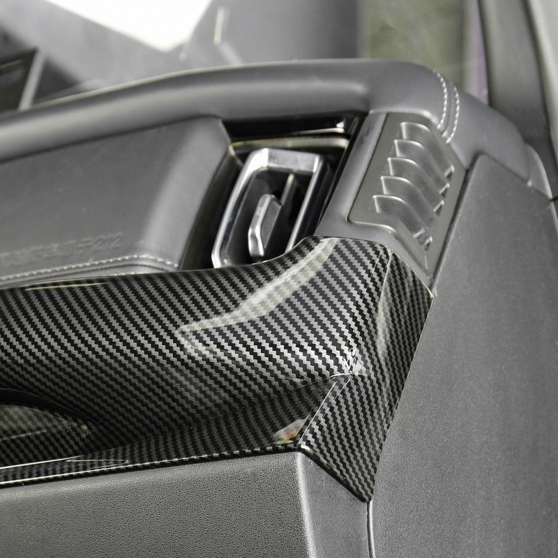 Co-Pilot Handle Storage Box For BAW 212T01 - Carbon Fiber Texture